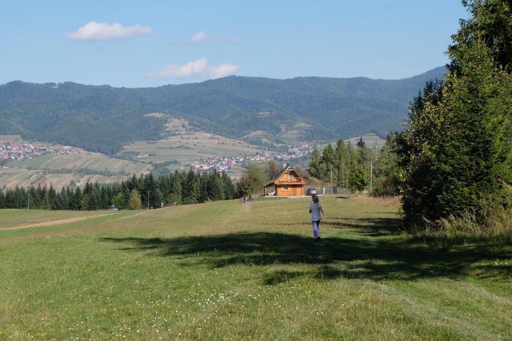 Domek Na Jagodowym Wzgorzu Villa Falstin Kültér fotó